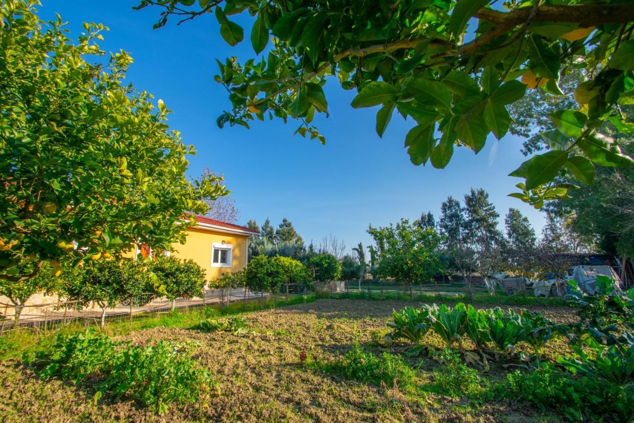 Loukas Farm House Áyios Kírikos Exteriér fotografie