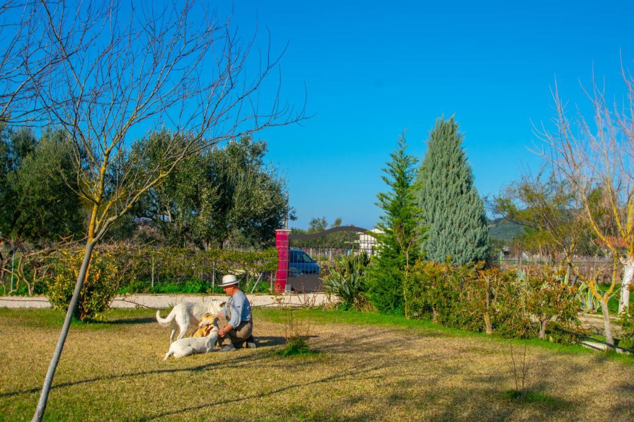 Loukas Farm House Áyios Kírikos Exteriér fotografie
