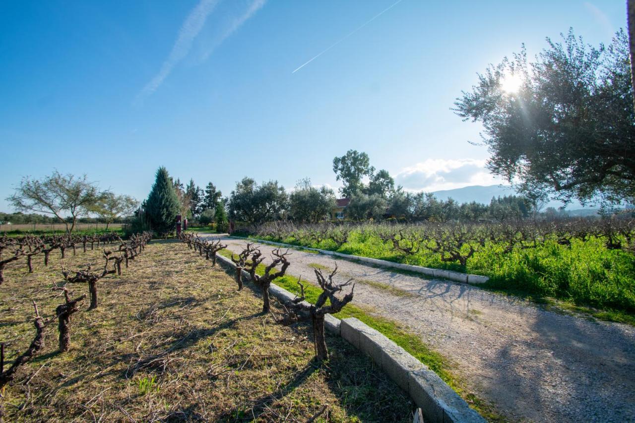 Loukas Farm House Áyios Kírikos Exteriér fotografie