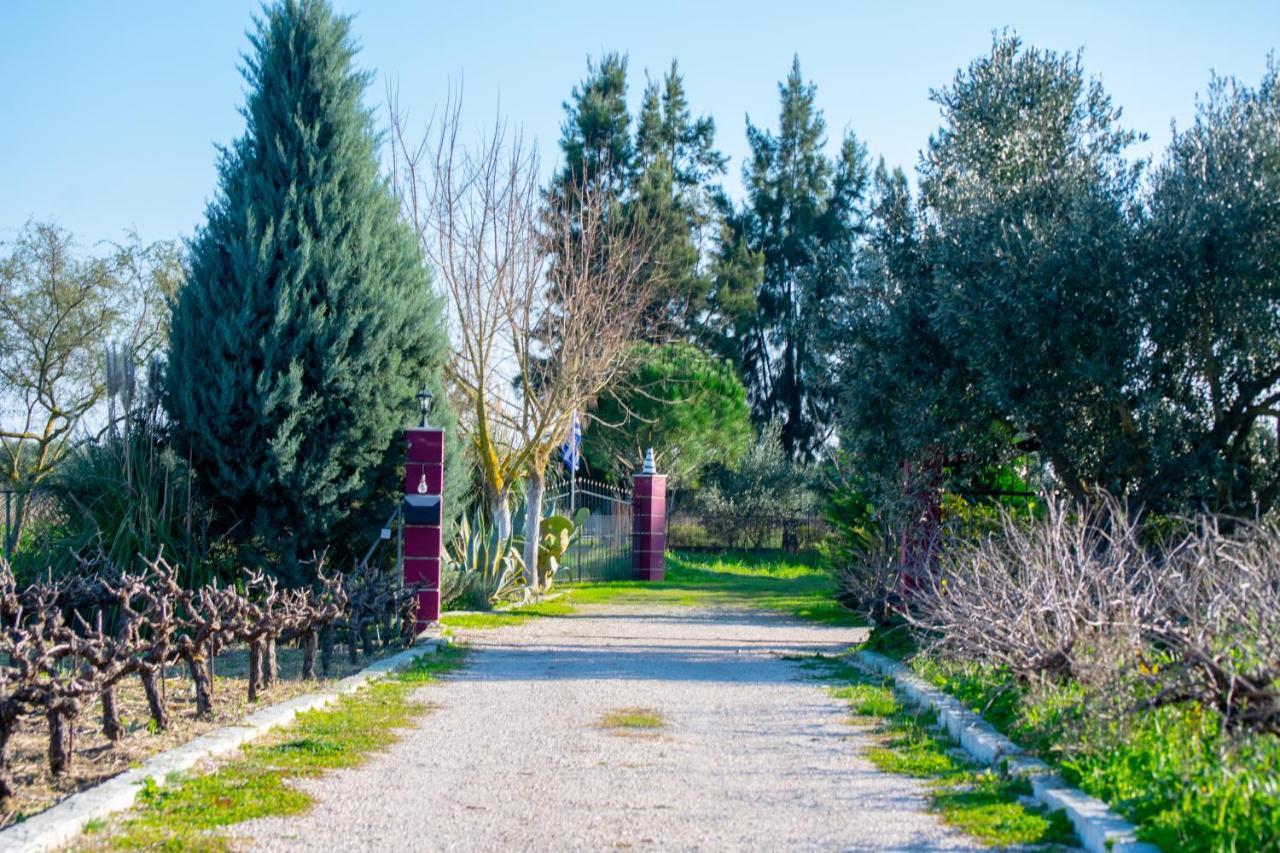 Loukas Farm House Áyios Kírikos Exteriér fotografie