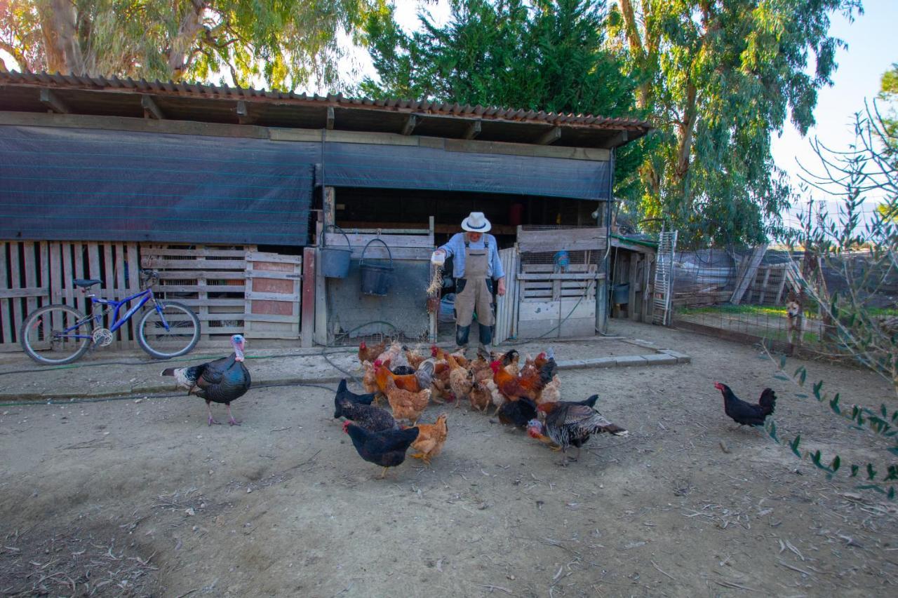 Loukas Farm House Áyios Kírikos Exteriér fotografie