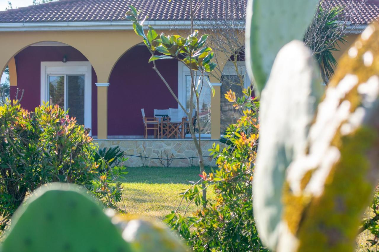 Loukas Farm House Áyios Kírikos Exteriér fotografie